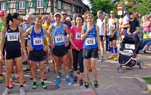 Les Courses de Scherwiller : SCHERWILLER (67)